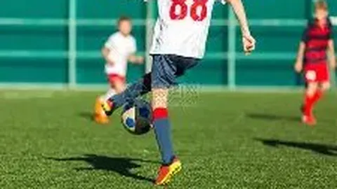 开运体育app 资讯 094354 c3w