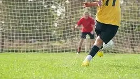 开运体育app 资讯 094351 n3z