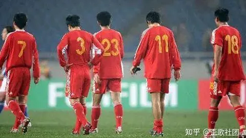 纽卡斯尔力追莱斯特城外租球员哈努斯，水晶宫紧贴其后竞逐传闻！